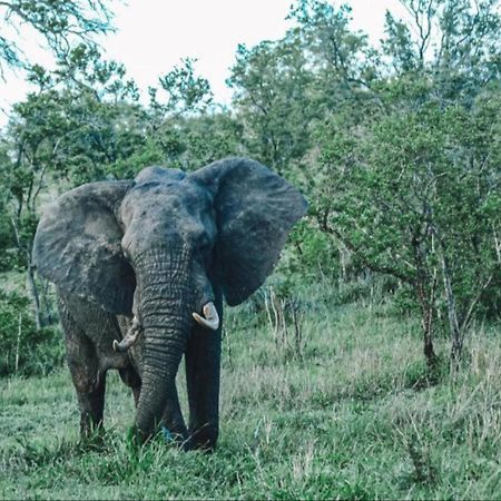 Honeyguide Tented Safari Camps - Mantobeni Rizab Memburu Manyeleti Luaran gambar